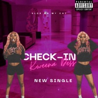 Check-In (Radio Edit) - Single - Kweena Dess