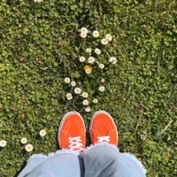 Fets Luck - Fets Luck