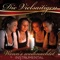 Boarischer - Die Vielsaitigen lyrics
