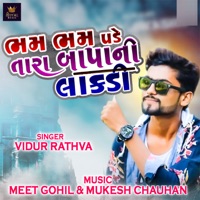Bham Bham Pade Tara Baapni Lakdi - Single - Vidur Rathva