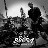 En la Bolsa (feat. El Nolan & Dj.Gre) - Single - Mr.Molliere