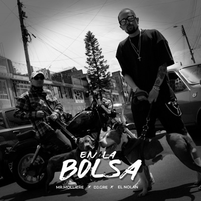 En la Bolsa (feat. El Nolan & Dj.Gre) - Single
