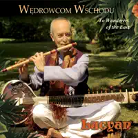 Telugu Song — Lucyan