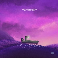awakening dream - Single - niv. & Lucid Keys