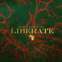 LIBERATE (feat. 9th Audio & Micah Shalom) - Single - Seneca