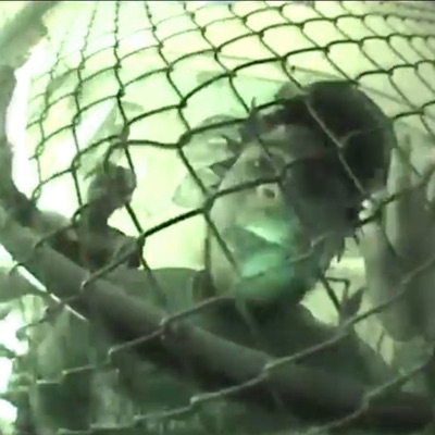 Check Callin (feat. Santana5age) - Single