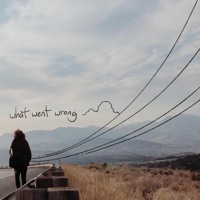 What Went Wrong (Blink 182 Tribute) - Single - Skye Rocket