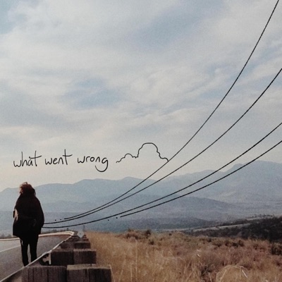 What Went Wrong (Blink 182 Tribute) - Single