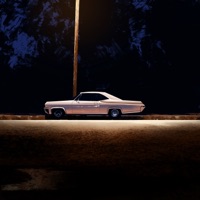 nightdrive - Single - flamingo zamperoni