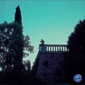 Masdite - Single