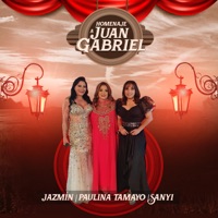 Homenaje a Juan Gabriel - Single - Pedro Chinga, Jazmín, Paulina Tamayo & Sanyi