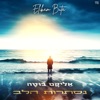 נסתרות הלב - Single