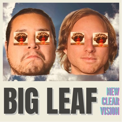 New Clear Vision - Single