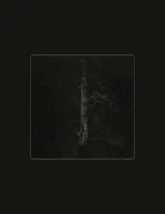 聆聽 воспоминания рыцаря деревьев、觀看音樂影片、閱讀小傳、查看巡演日期等！