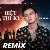 Biệt Tri Kỷ (Remix) artwork
