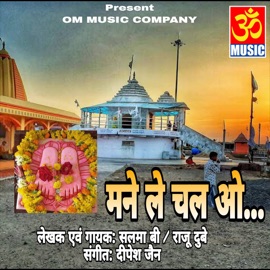 Mane Le Chal Singaji Mela Me Salma & Raju Dubey