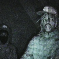 Swans - Single - Dolo2k