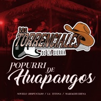 Popurrí de Huapangos: Novillo Despuntado / La Tetona / Mariachuchena - Single - Los Torrenciales de la Sierra