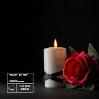 Death of Me - Single - Whales & Shiah Maisel