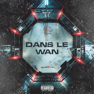 DANS LE WAN - Single
