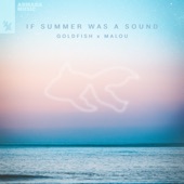 If Summer Was a Sound artwork