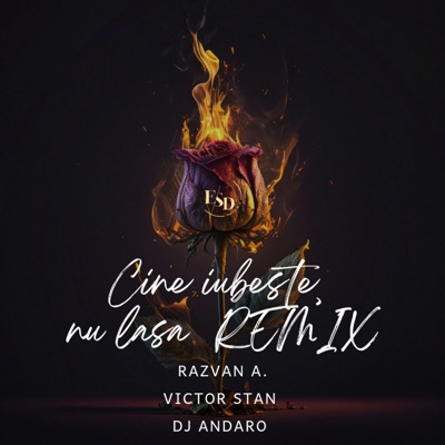 Cine iubeste nu lasa (feat. DJ Răzvan a. & DJ ANDARO) - Single