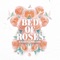 Bed of Roses (feat. Stanaj) - AFROJACK lyrics
