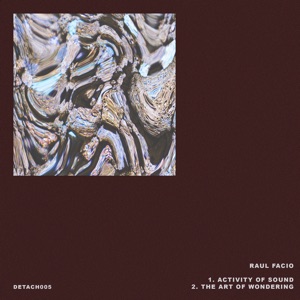 Activity of Sound / The Art of Wondering - Single