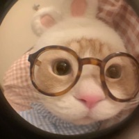 The Moon - Single - dazed?!