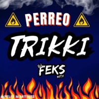 Perreo Triki - Single - Dj Feks Mty