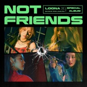 Not Friends (ALAWN Remix Version) artwork