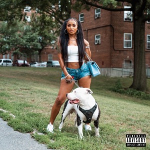 Project Dick - Single