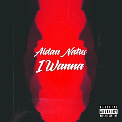 I Wanna - Single
