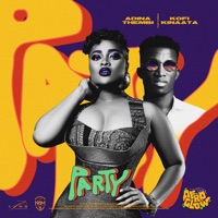Party (feat. Kofi Kinaata) - Single - Adina Thembi