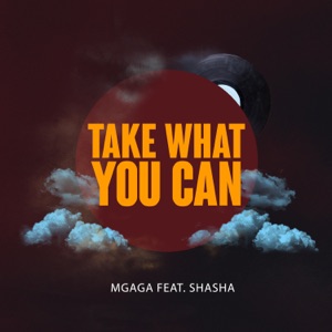 Take What You Can (feat. Shasha)