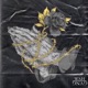 Pray For Me feat Kaleigh PointBlank TIMMZ Single