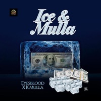 Fashion Nova - Single - Eyesblood & K Mulla