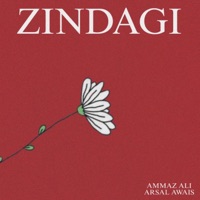 Zindagi - Single - Ammaz Ali & Arsal Awais