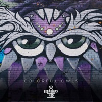Colorful Owls (Instrumental) - Single - February Kid