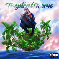 Tropical Born - Lucrativ