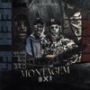 Montagem 3x1 - Single