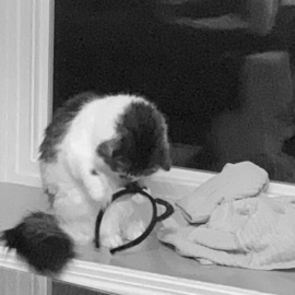 On the Low (slowed) ty^2