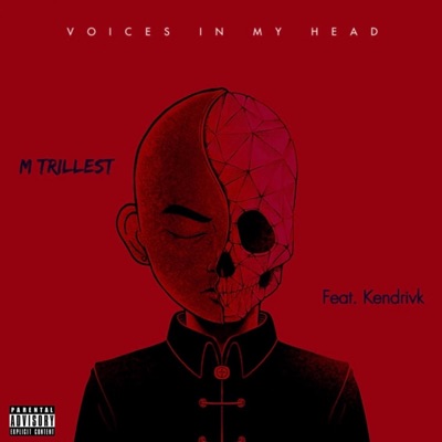 Voices In My Head (feat. Kendrivk) - Single