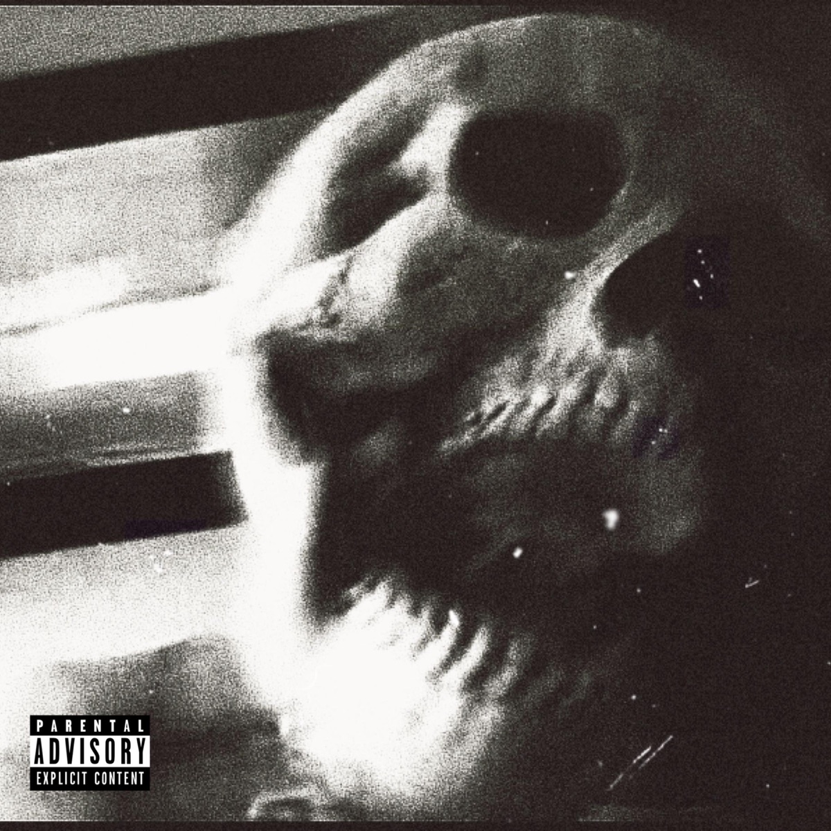 Swollen Members Skull