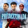 Predestinada - Single