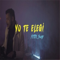 Yo Te Elegí - Single - Peter Sway