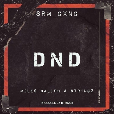DND (feat. STR1NGZ & Miles Caliph) - Single