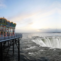 Connie Converse - Single - The Fifty Dollar Band