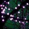 Purple Stars
