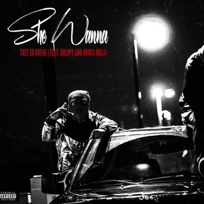 She Wanna (feat. Dulopy Himself & Nooks Mula) - Single